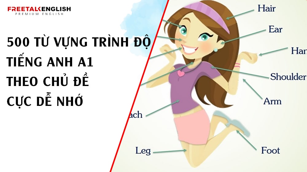 500 từ vựng trình độ tiếng Anh A1 theo chủ đề cực dễ nhớ